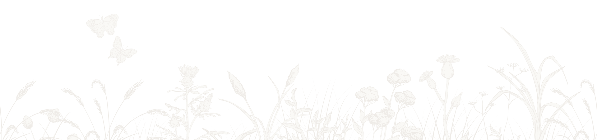 Fougere illustration